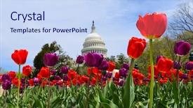  Presentation with capitol washington dc - Beautiful presentation theme featuring us capitol in springtime - washington backdrop and a sky blue colored foreground