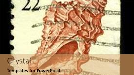  Presentation with 1970 - Colorful slides enhanced with navy aviation - senior funny man backdrop and a light gray colored foreground