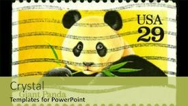  Presentation with black bear - Audience pleasing PPT theme consisting of usa-circa-1980-a-stamp backdrop and a yellow colored foreground