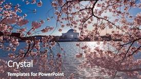  Presentation with thomas jefferson - Cool new presentation theme with usa japan - pink cherry blossom at tidal backdrop and a gray colored foreground