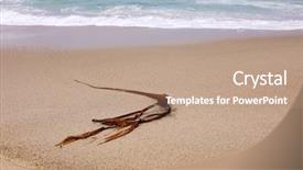  Presentation with weed - Colorful slide set enhanced with usa map west coast - bull kelp bull kelp sea backdrop and a coral colored foreground