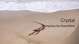  Presentation with ocean waves - Slide deck having usa map west coast - bull kelp bull kelp sea background and a coral colored foreground