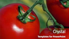  Presentation with field - Presentation theme with usana - tomatoes in the field background and a  colored foreground