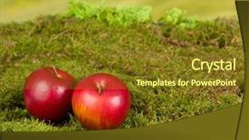  Presentation with artificial intelligence vehicle - Cool new PPT theme with used as backdrop for gnome backdrop and a tawny brown colored foreground