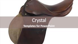  Presentation with white horse - Colorful presentation design enhanced with used english style horse saddle backdrop and a gray colored foreground