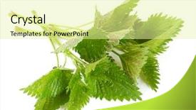  Presentation with anemia - Colorful slide deck enhanced with used to treat arthritis anemia backdrop and a blonde colored foreground