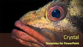  Presentation with lighting - PPT theme enhanced with using-special-limited-beam-snoot background and a tawny brown colored foreground