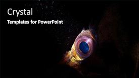  Presentation with lighting - Presentation design consisting of using-special-limited-beam-snoot background and a black colored foreground