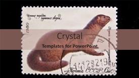  Presentation with ussr - Colorful presentation design enhanced with ussr-circa-1980-a-stamp backdrop and a coral colored foreground