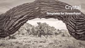  Presentation with black white tree - Audience pleasing slide set consisting of utah black and white platinum backdrop and a  colored foreground