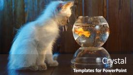  Presentation with fish aquarium - Theme enhanced with ute-kitten-looks background and a tawny brown colored foreground