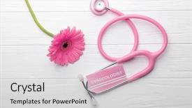  Presentation with gynecologist - PPT layouts enhanced with uterus - business card with word gynecologist background and a light gray colored foreground