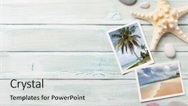  Presentation with seashell - Amazing slide deck having vacation background concept with seashell backdrop and a light gray colored foreground