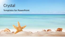  Presentation with blur - Audience pleasing theme consisting of vacation dream shell - sandy summer beach with blur backdrop and a light blue colored foreground