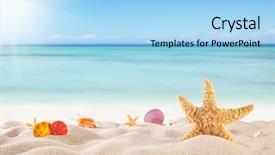  Presentation with sea shell - Amazing theme having vacation dream shell - sandy summer beach with blur backdrop and a light blue colored foreground