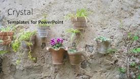  Presentation with city street - Slides consisting of vacation flowerpots street in the tourist island of mallorca valdemosa city in spain background and a light gray colored foreground