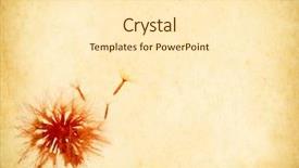  Presentation with old compass antique paper - Colorful presentation enhanced with vacation photo album - old antique vintage paper background backdrop and a cream colored foreground