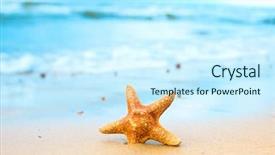  Presentation with shell - Slide deck featuring vacation star shell background and a cool aqua colored foreground