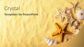  Presentation with sea shells - Presentation having vacations-and-summer-time-concept background and a blonde colored foreground