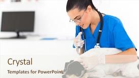  Presentation with vaccination - Colorful theme enhanced with vaccine veterinary - young vet doctor giving vaccination backdrop and a sky blue colored foreground