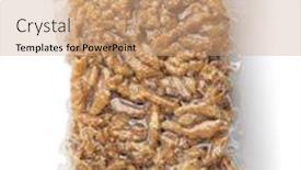  Presentation with plastic bag - Amazing PPT theme having vacuum-plastic-bag-of-peeled backdrop and a coral colored foreground