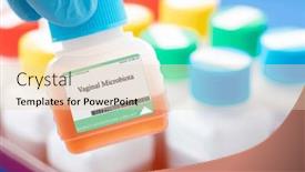  Presentation with community health - PPT theme having vaginal-microbiota-the-vaginal-microbiota background and a lemonade colored foreground