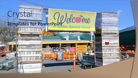  Presentation with baked pies - 