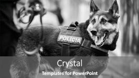  Presentation with police dog - Amazing slides having valencia-spain-january-27-police backdrop and a gray colored foreground