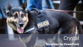  Presentation with police dog - Audience pleasing slides consisting of valencia-spain-january-27-police backdrop and a ocean colored foreground