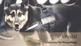  Presentation with police dog - Theme featuring valencia-spain-january-27-police background and a coral colored foreground