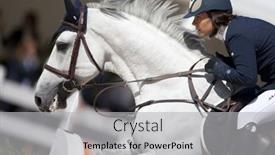  Presentation with equestrian - 