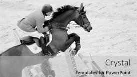  Presentation with equestrian - 