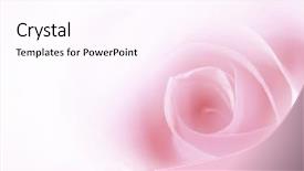  Presentation with pink silk - Amazing slides having pink silk - valentine card with soft rose backdrop and a pink colored foreground