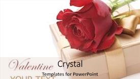  Presentation with white rose - Colorful theme enhanced with valentine gift and red rose backdrop and a lemonade colored foreground