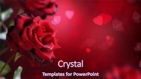  Presentation with wedding roses - Presentation theme having valentine or wedding card roses background and a wine colored foreground
