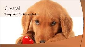  Presentation with valentine - Theme featuring valentine-puppy-with-a-red and a coral colored foreground