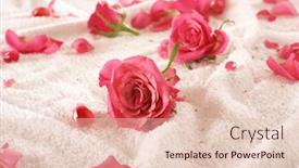  Presentation with valentine - 