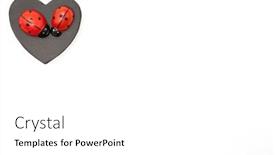  Presentation with congratulations - PPT layouts with valentine-s-day-white-background background and a white colored foreground