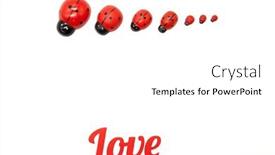  Presentation with congratulations - Colorful presentation theme enhanced with valentine-s-day-white-background backdrop and a white colored foreground