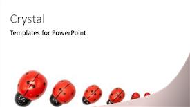  Presentation with ladybugs - Cool new PPT layouts with valentine-s-day-white-background backdrop and a white colored foreground