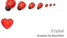 Presentation with ladybugs - Beautiful theme featuring valentine-s-day-white-background backdrop and a white colored foreground