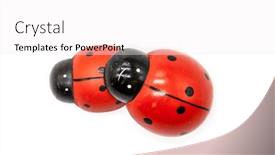  Presentation with congratulations - Beautiful PPT layouts featuring valentine-s-day-white-background backdrop and a white colored foreground