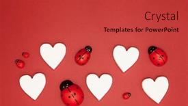  Presentation with congratulations - Slide set consisting of valentine-s-day-white-background background and a red colored foreground
