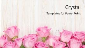  Presentation with valentines day - Amazing slides having valentines day background with pink backdrop and a sky blue colored foreground