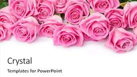  Presentation with valentines day - Beautiful presentation design featuring valentines day background with pink backdrop and a white colored foreground