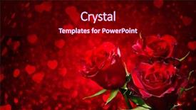  Presentation with valentines day - Slides having valentines day background with roses background and a wine colored foreground