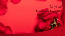  Presentation with greeting card - PPT theme enhanced with valentines-day-greeting-card background and a  colored foreground