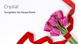  Presentation with valentines - Presentation theme featuring valentines-day-pink-tulip-flowers background and a pink colored foreground