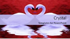 Presentation with shape heart - Slide deck enhanced with valentine's swans come together background and a light blue colored foreground