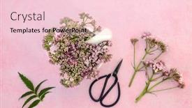  Presentation with herbal medicine flowers - Beautiful slide set featuring valerian-alternative-herbal-medicine backdrop and a lemonade colored foreground